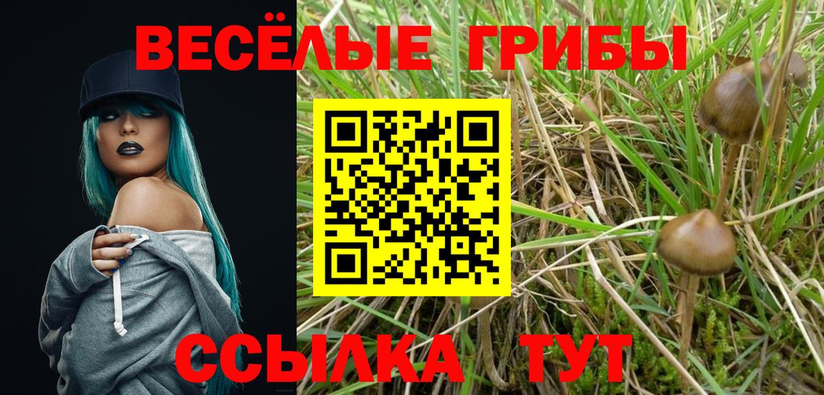 Галлюциногенные грибы мицелий Тихорецк