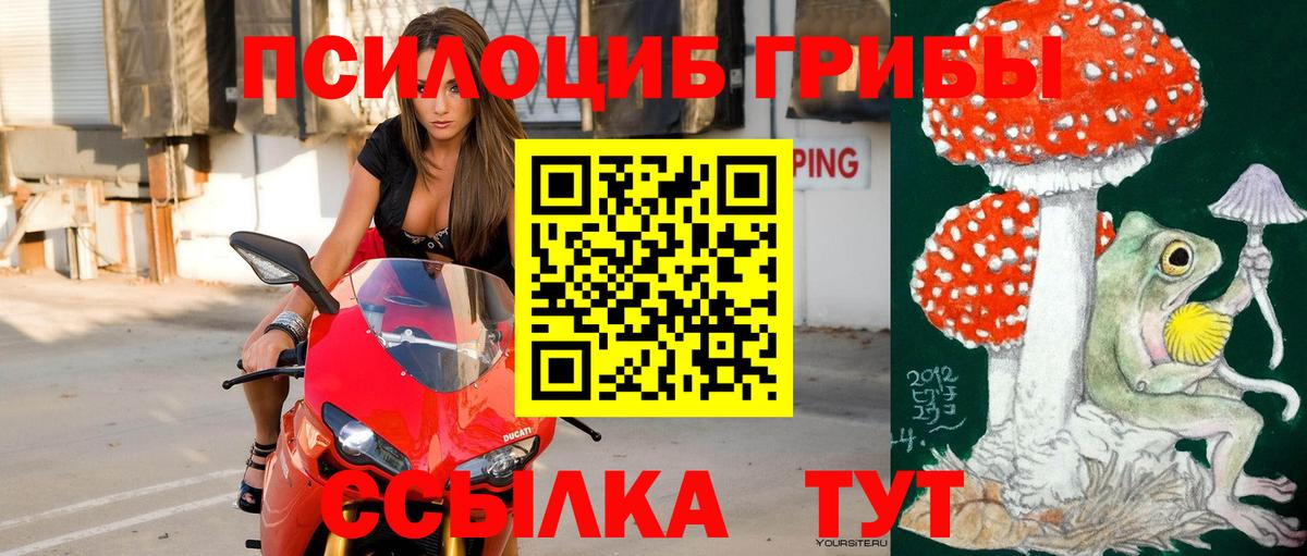 Галлюциногенные грибы Psilocybe  Вход с VPN  Тихорецк 